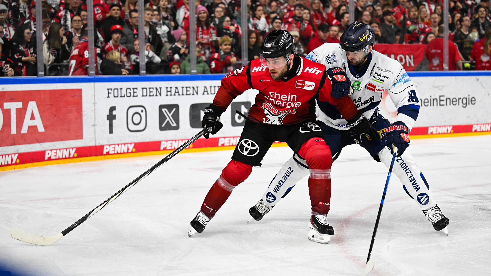 Kölner Haie gg. Iserlohn Roosters